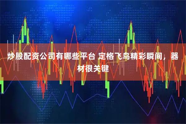炒股配资公司有哪些平台 定格飞鸟精彩瞬间，器材很关键