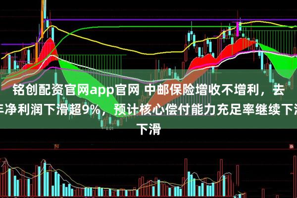 铭创配资官网app官网 中邮保险增收不增利，去年净利润下滑超9%，预计核心偿付能力充足率继续下滑