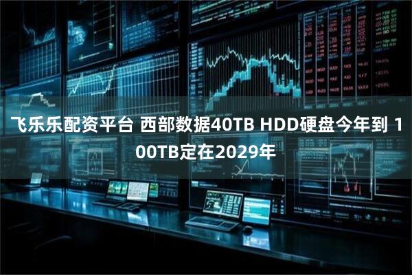 飞乐乐配资平台 西部数据40TB HDD硬盘今年到 100TB定在2029年
