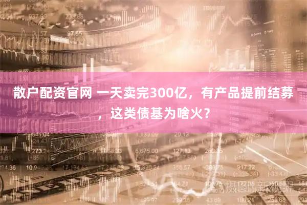 散户配资官网 一天卖完300亿，有产品提前结募，这类债基为啥火？