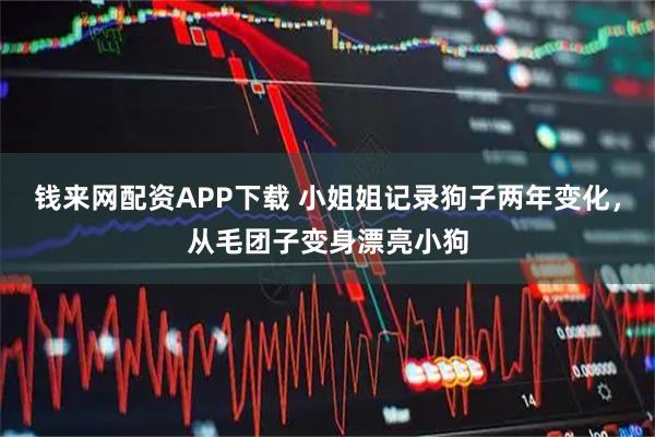 钱来网配资APP下载 小姐姐记录狗子两年变化，从毛团子变身漂亮小狗