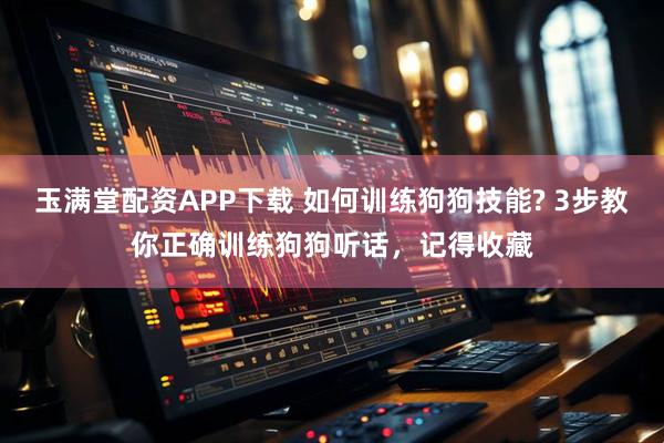 玉满堂配资APP下载 如何训练狗狗技能? 3步教你正确训练狗狗听话，记得收藏